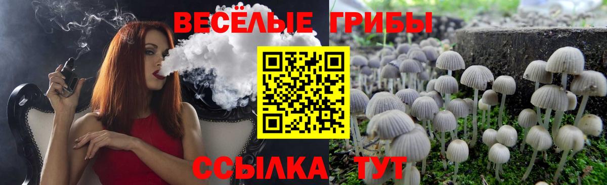 Галлюциногенные грибы MAGIC MUSHROOMS  Псилоцибиновые грибы ЛСД  Елец  Вход с VPN 