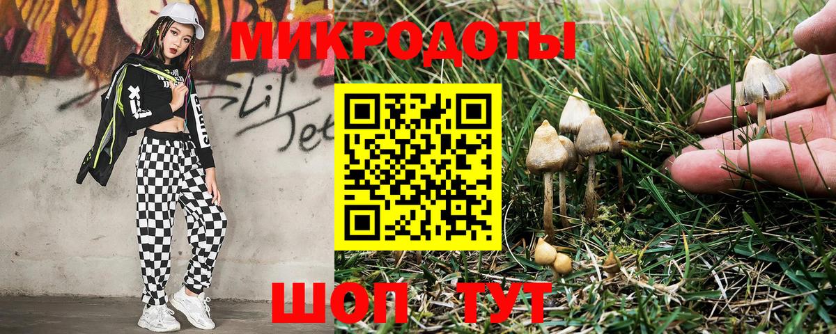 Псилоцибиновые грибы прущие грибы Елец